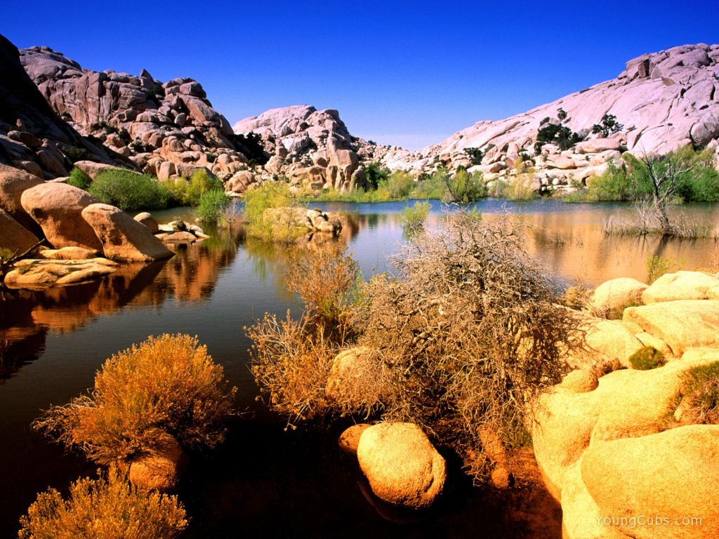 Technicolor Terrain, Joshua Tree National Park, California